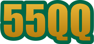 55qq